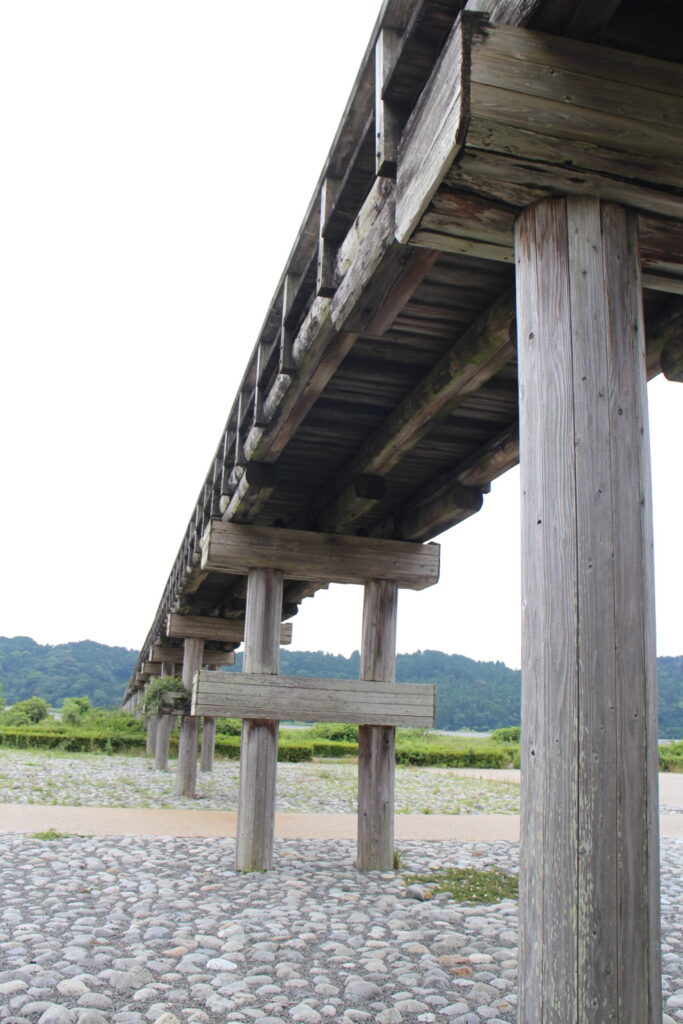 蓬萊橋を河川敷から見上げた画像