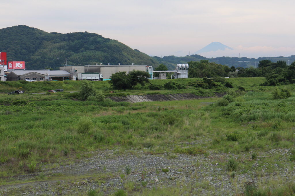 蓬萊橋から富士山を見る画像